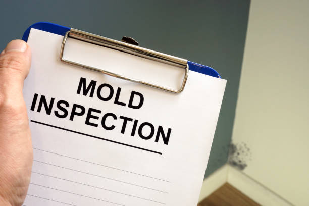 Woodbourne, PA Mold Removal Company